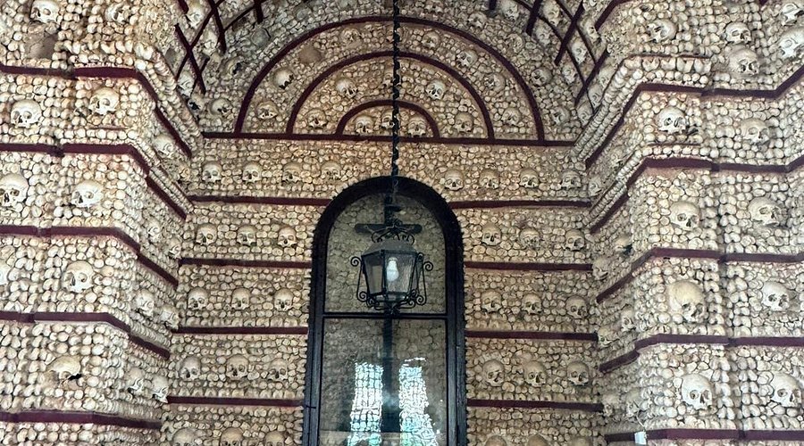 En Faro, los huesos no descansan: te observan