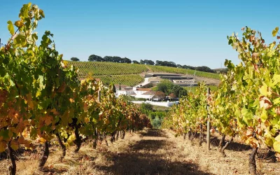Un brindis por lo que nos une